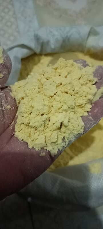 北票市 玉米面