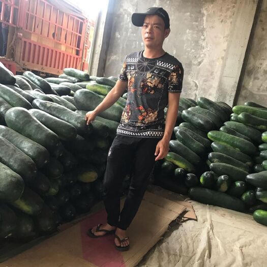 南宁子弹头黑皮冬瓜 质量保证。欢迎各位老板来收购 需要请联系我