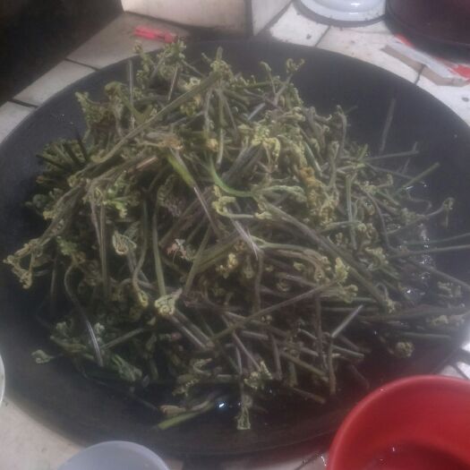 德昌县 漂水蕨菜
