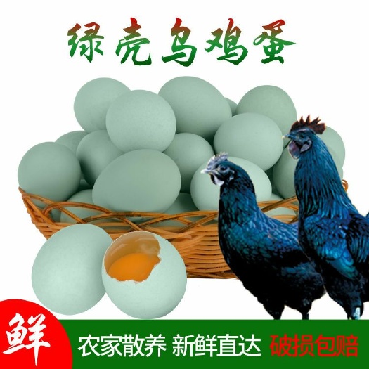 泰州 新鲜绿壳土鸡蛋   笨鸡蛋   月子蛋  草鸡蛋包邮