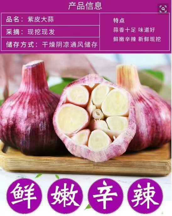  云南新鲜紫皮大蒜  支持上门看货