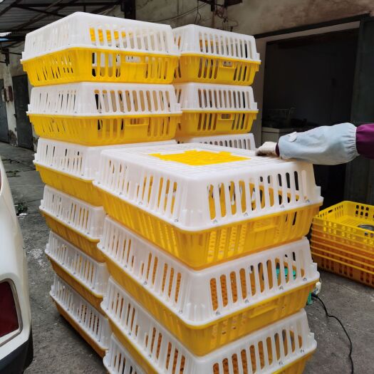 南宁养殖设备 鸡鸭鹅笼