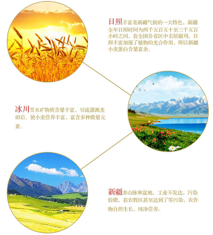 麦片类 新疆特产小麦胚芽