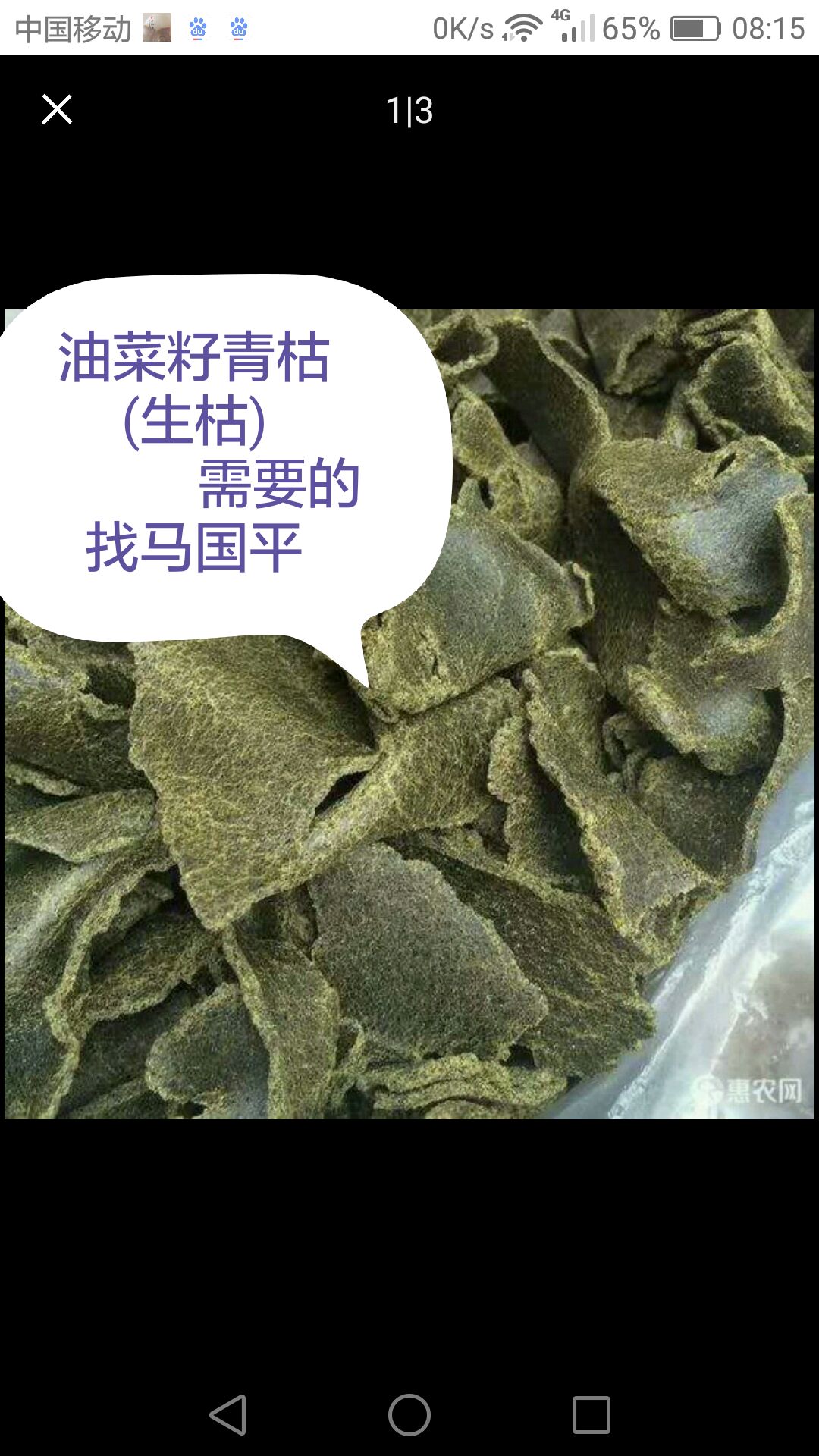 菜籽饼饲料  油菜籽青枯