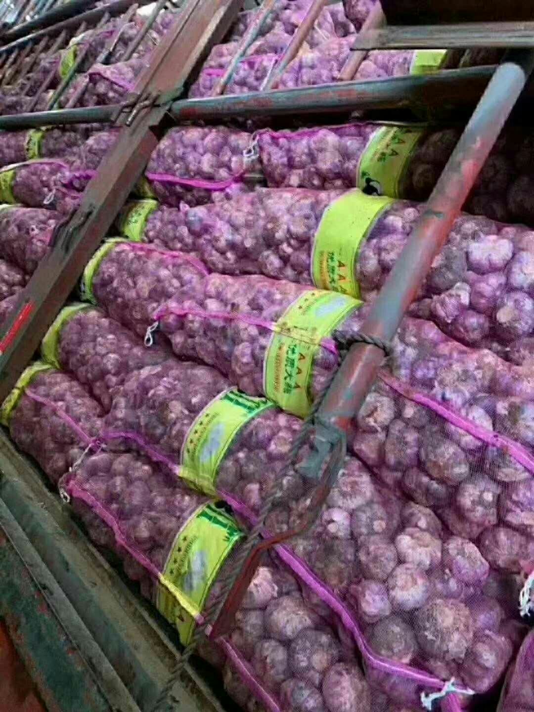  云南新鲜紫皮大蒜  支持上门看货