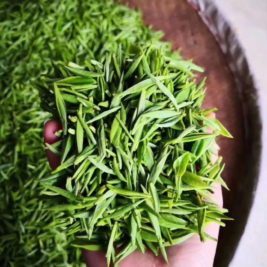 秭归县 三峡芽毛尖（茶叶界的LV）