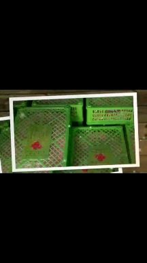 釜山88圣女果 山东平度釜山88小番茄，甜度高，味香，皮薄