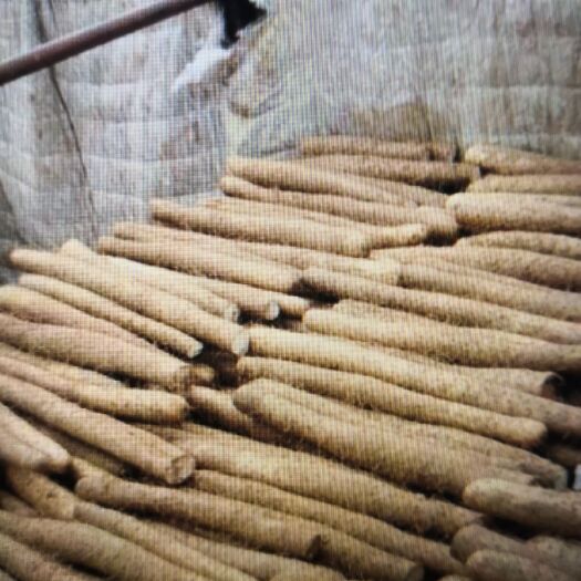 丰县 产地直供，白玉山药批发