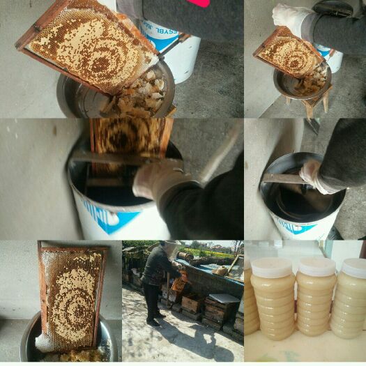 绵阳 天然纯蜂蜜