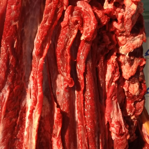 银川 宁夏靖远黄牛肉，精品小黄牛！