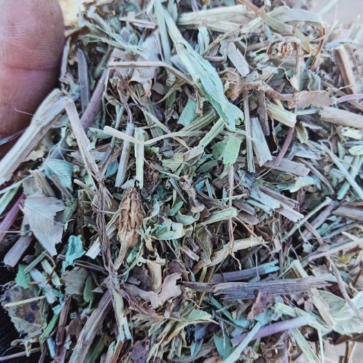 保定 出售花生秧草粉