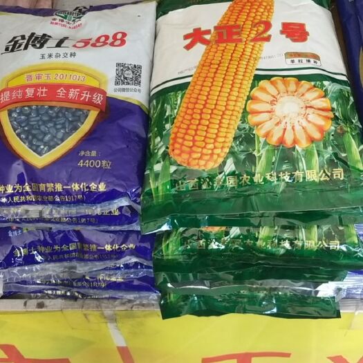 晋中乐农18玉米种子 保证质量，价格优惠