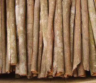 封开县 大量桂皮出售