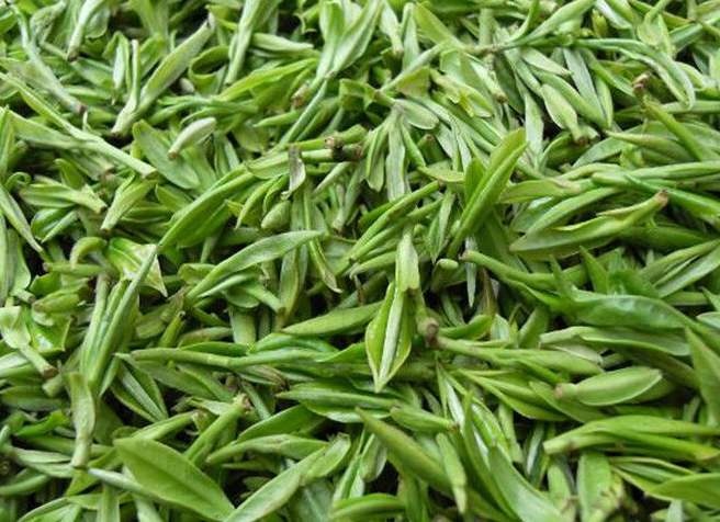 黄山日照绿茶 一级 散装