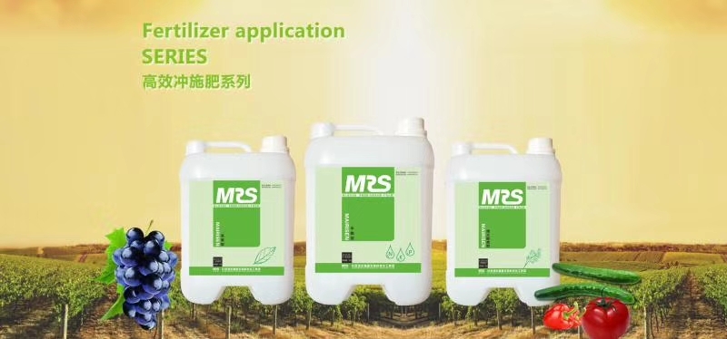 新郑市大量元素肥料 以色列迈睿森高效冲施肥