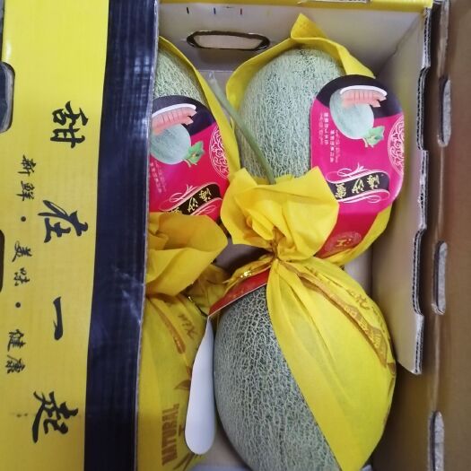 南宁海南25号 晓蜜