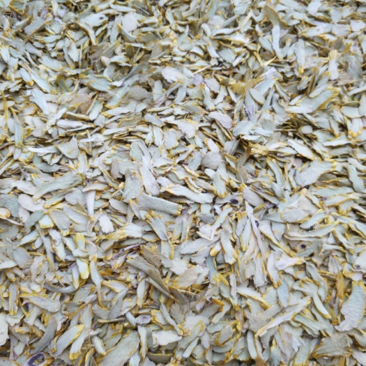 赤水市贵州赤水金钗石斛切片 金钗石斛干品切片