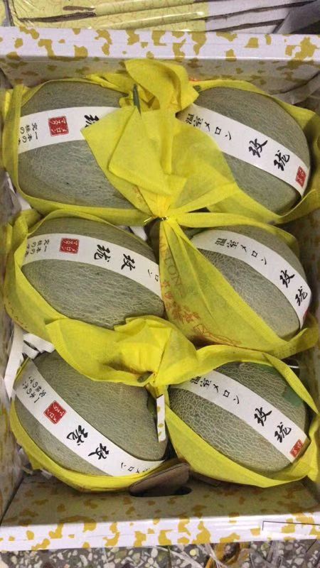 莘县 甜瓜