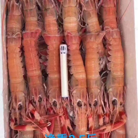 荣成市冻小龙虾