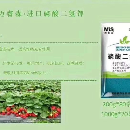 新郑市以色列迈睿森磷酸二氢钾