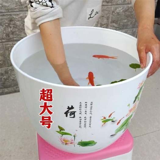玉树盆栽 新款仿陶瓷塑料树脂底部无孔眼睡莲不漏水水培荷花盆送碗莲种子