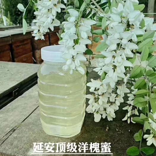 江山市槐花蜜 延安洋槐蜜