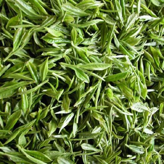 沅陵县 绿茶