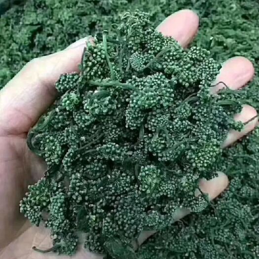 抚松县人参花茶 长白山人参花批发零售500g