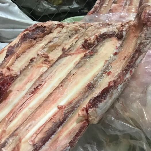 科左后旗牛排骨 牛排