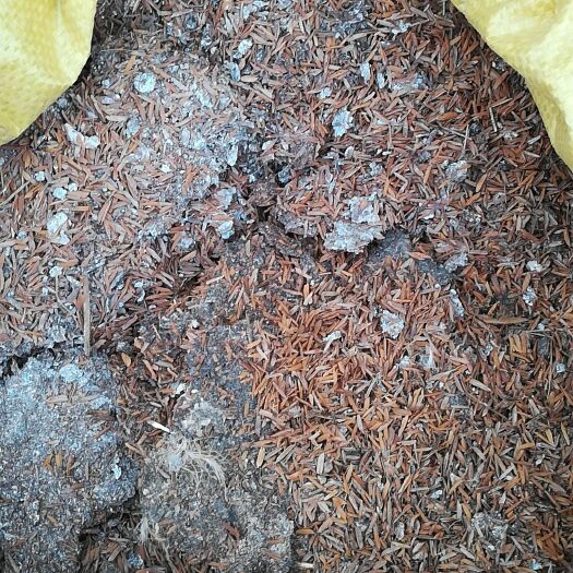 吉安县 养鸡场出售谷壳鸡粪肥，蔬菜种植基地有机肥原料，透气保水松土