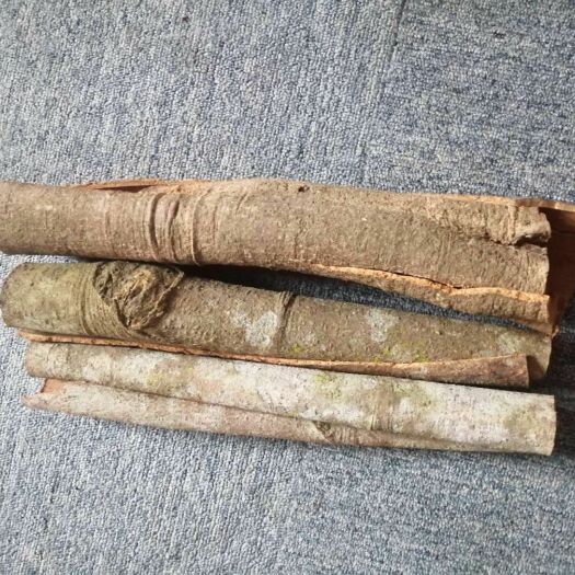 岑溪市 农村自家种植的桂皮
