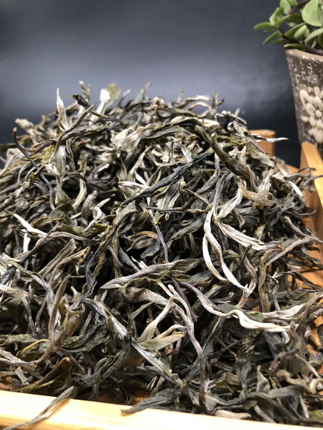2020春茶普洱上市勐库古树茶