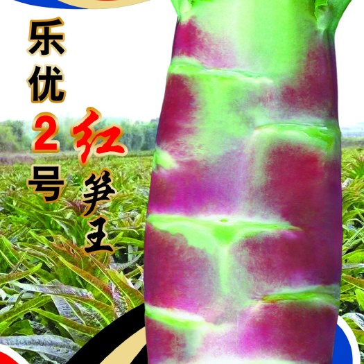 莴笋种子  乐优2号红笋王