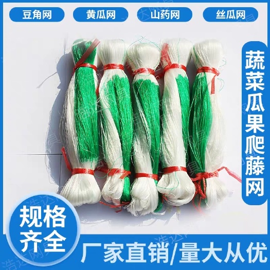 无棣县爬藤网 蔬菜大棚爬藤网豆角芸豆 吊藤网吊瓜网黄瓜丝百香果