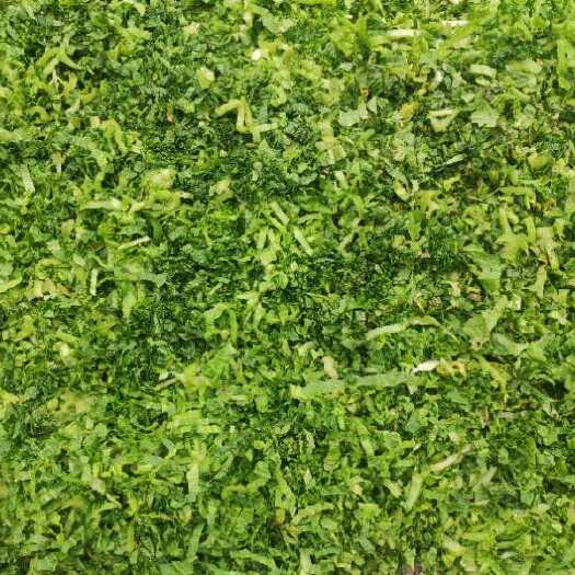 缙云县古法制作色香味俱全的梅干菜。手工制作