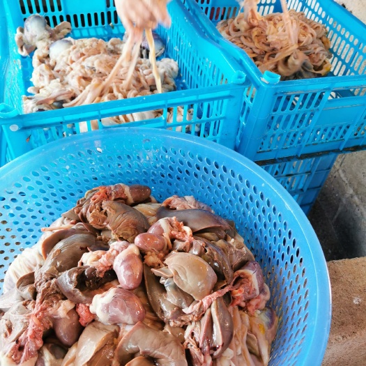 钦州 新鲜鹅肠 鹅胗 鹅肝 鹅掌 鹅翅膀