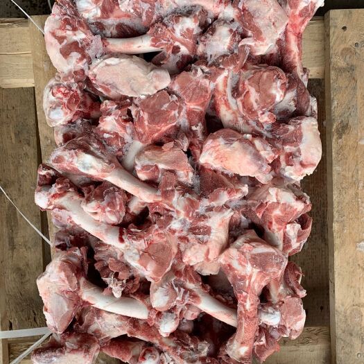 济南羊骨头 羔羊多肉后腿棒骨，肉多颜色新鲜