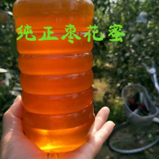 临猗县天然枣花蜜自然成熟封盖的