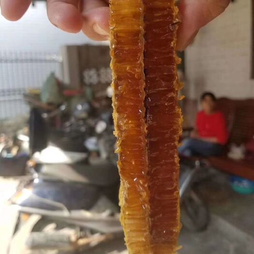 高州市 正宗高州特产，土蜂荔枝龙眼蜜 。