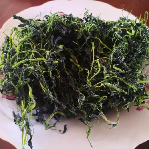 沧县苜蓿芽 新货脱水野菜苜蓿，干货苜蓿，干菜苜蓿，非常嫩