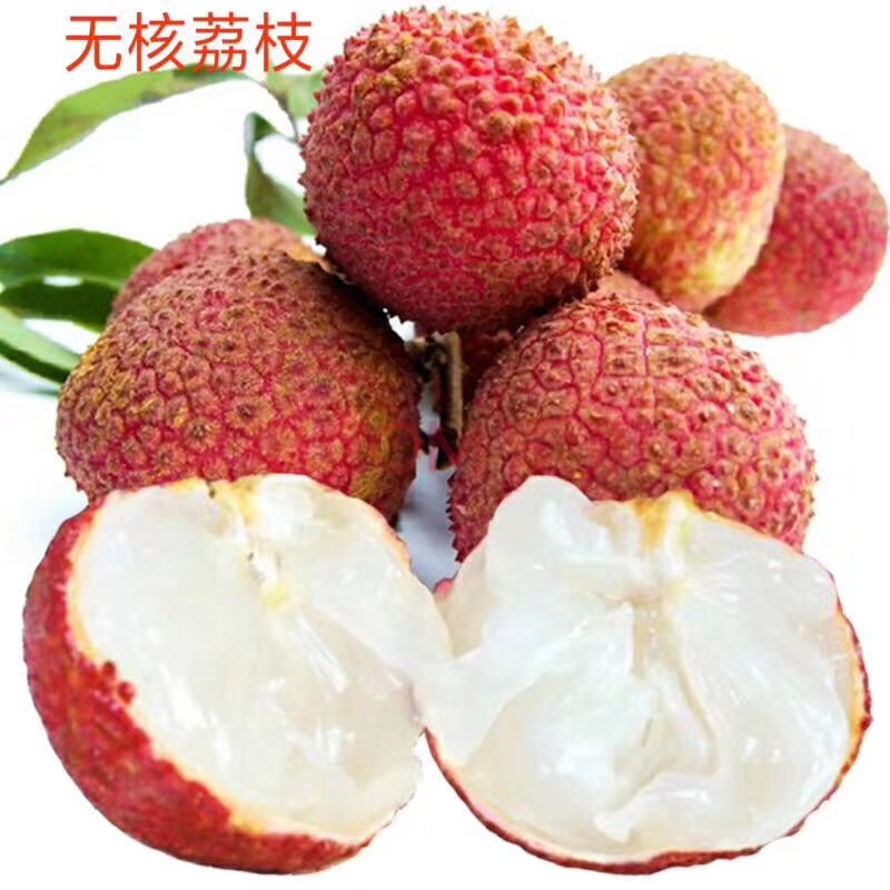 灵山县 产地直销无核荔枝苗 当年种植当年可结果 皮薄肉厚果肉鲜甜