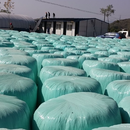 东台市青储草  江苏牛羊饲料青储玉米秸秆草料