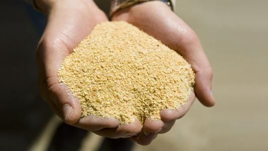济南豆粕饲料 优质豆粕 高效蛋白豆粕 牛羊猪饲料
