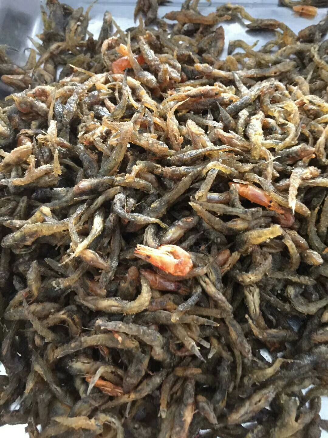 山坑鱼仔