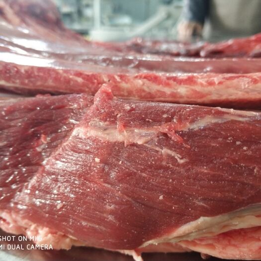 烟台牛肉类 生肉