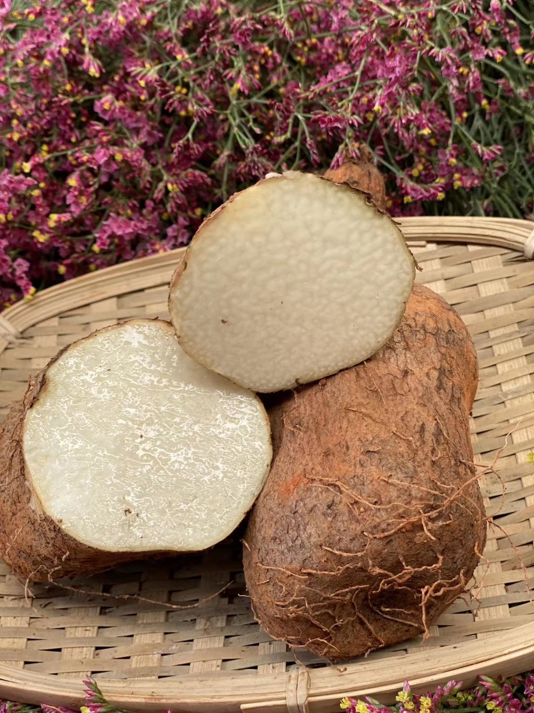 [秤砣山药批发] 纳特农场金坨山药价格16.8元/箱 - 惠农网