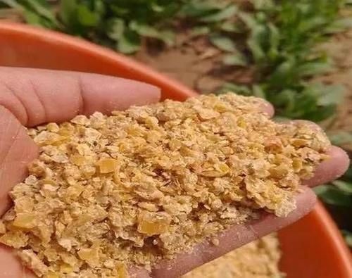 济南豆粕饲料 豆粕 饲料添加剂 高蛋白豆粕