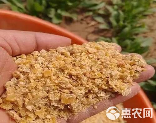 豆粕饲料 豆粕 饲料添加剂 高蛋白豆粕