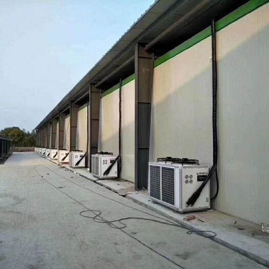 成都冷冻库租赁 冷库工程进行中，欢迎现场考察