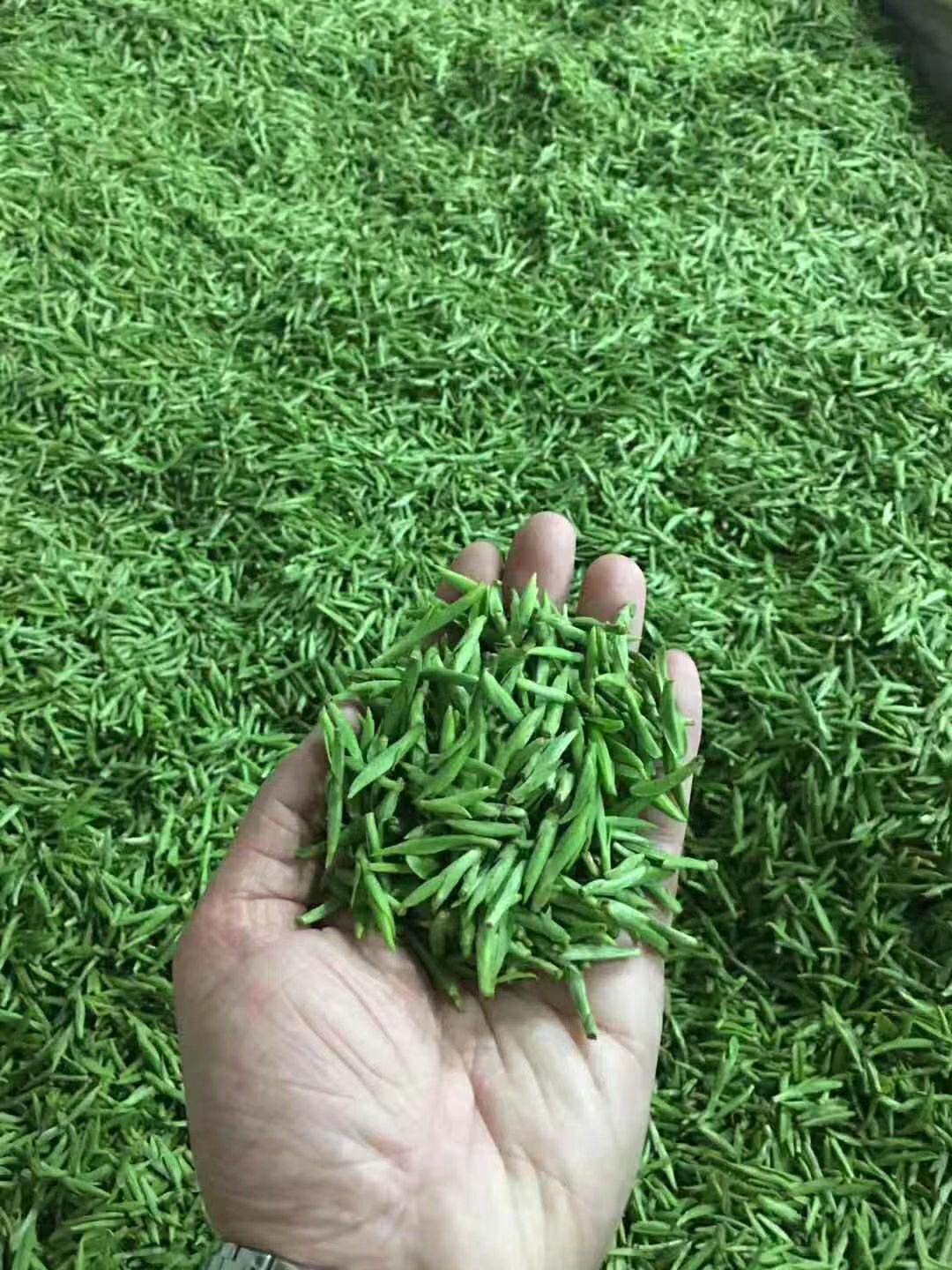 大佛龙井茶 2020大佛龙井新茶